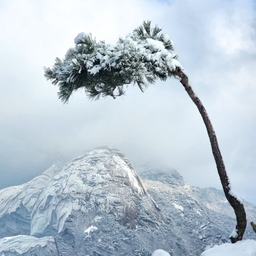 피드에 업로드 된 이미지