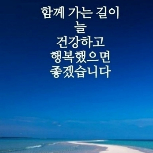 피드 이미지