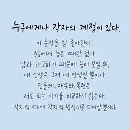 피드에 업로드 된 이미지