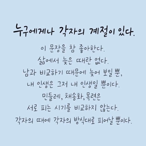 피드 이미지