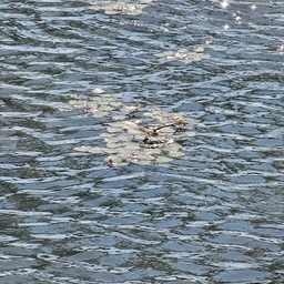 피드에 업로드 된 이미지