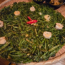 피드에 업로드 된 이미지