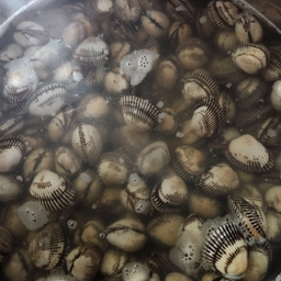 피드에 업로드 된 이미지