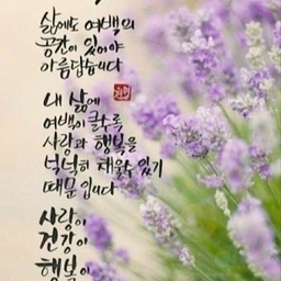 피드에 업로드 된 이미지