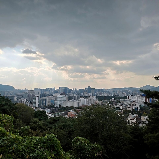 피드 이미지