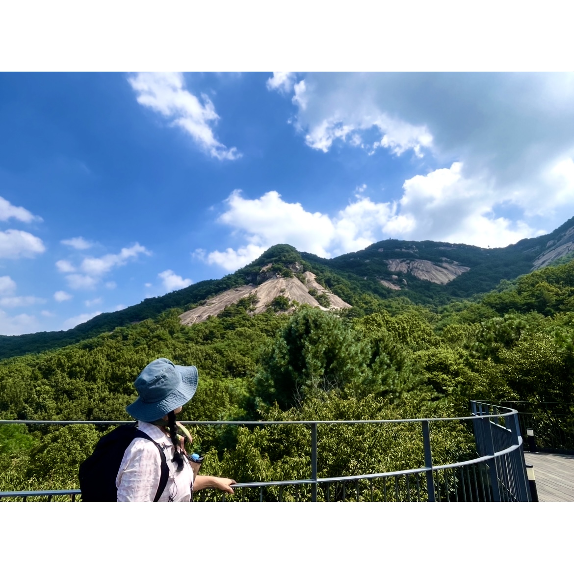 피드 이미지