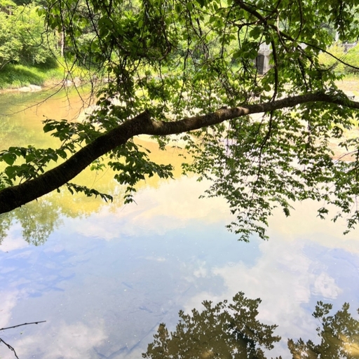 ํผ๋ ์ด๋ฏธ์ง