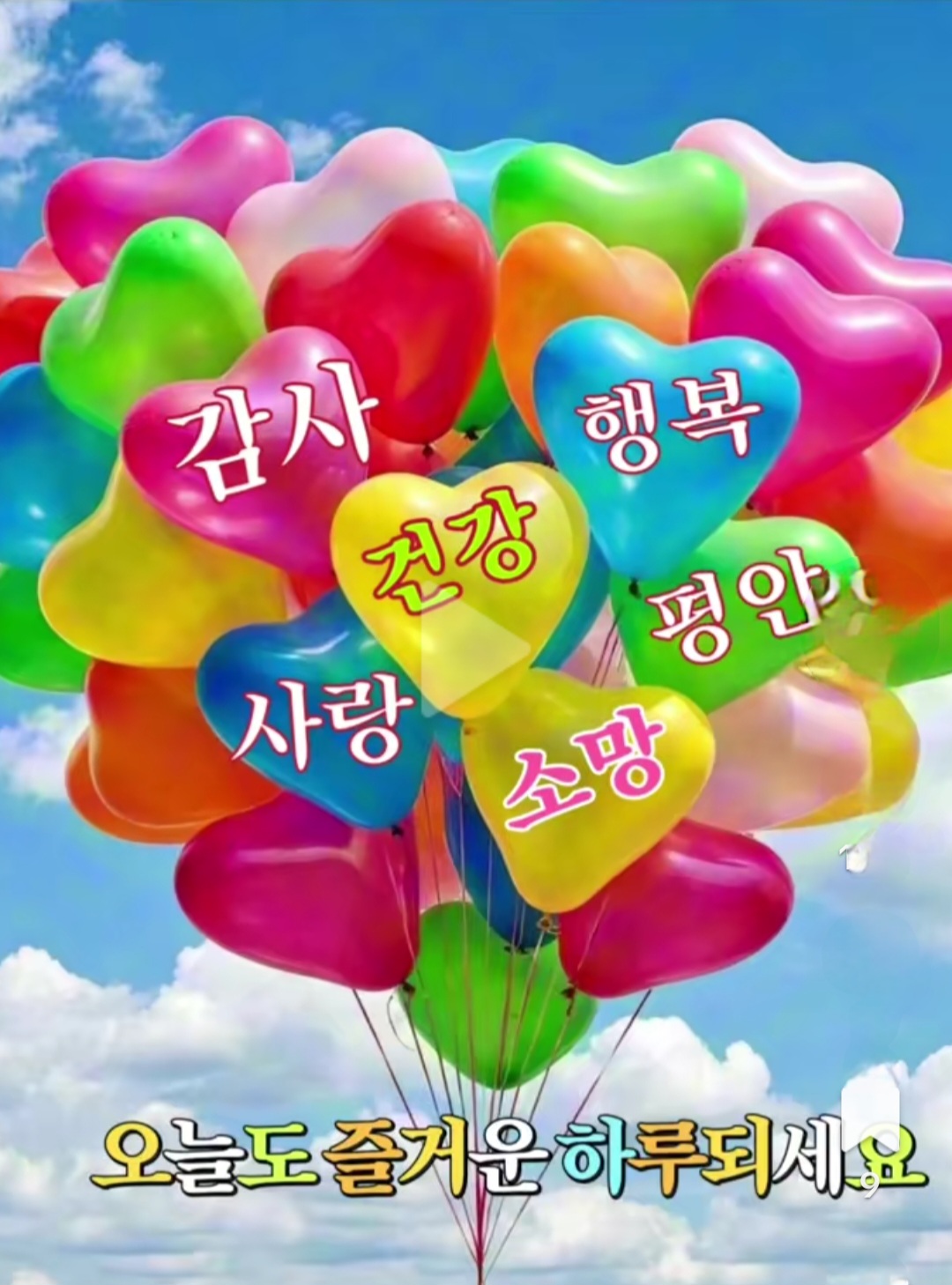 피드에 업로드 된 이미지