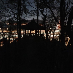 피드에 업로드 된 이미지