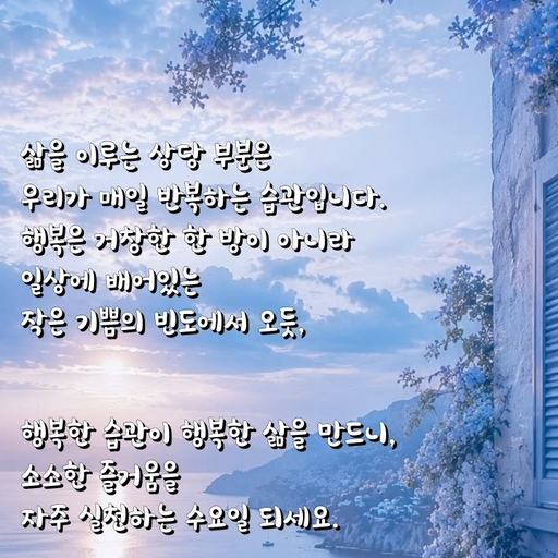 피드 이미지