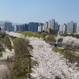 피드에 업로드 된 이미지