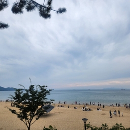 피드에 업로드 된 이미지