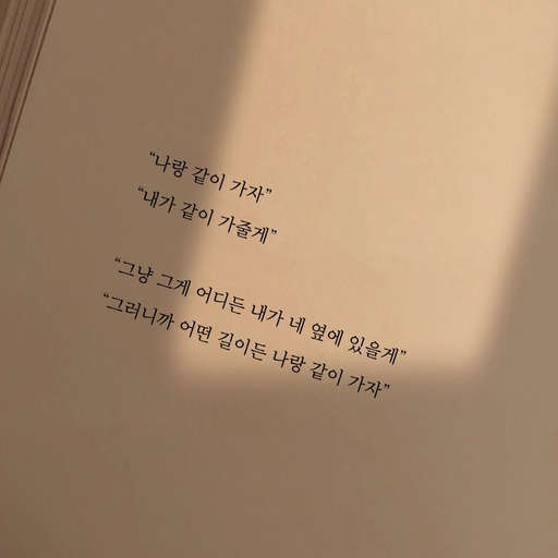 피드 이미지