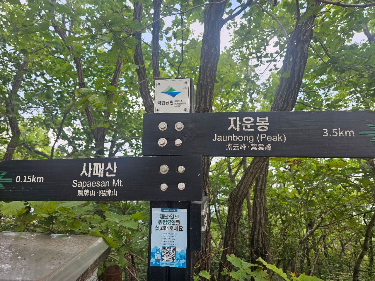 피드에 업로드 된 이미지