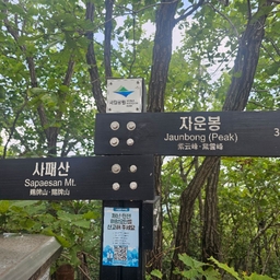 피드에 업로드 된 이미지