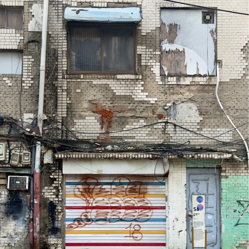 피드 이미지