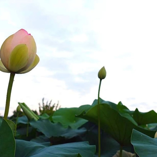 피드 이미지