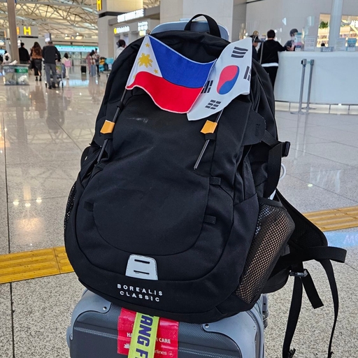 피드 이미지