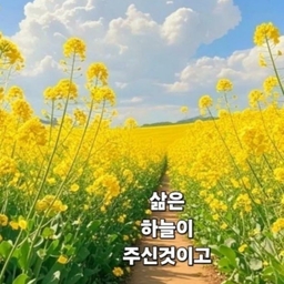 피드에 업로드 된 이미지