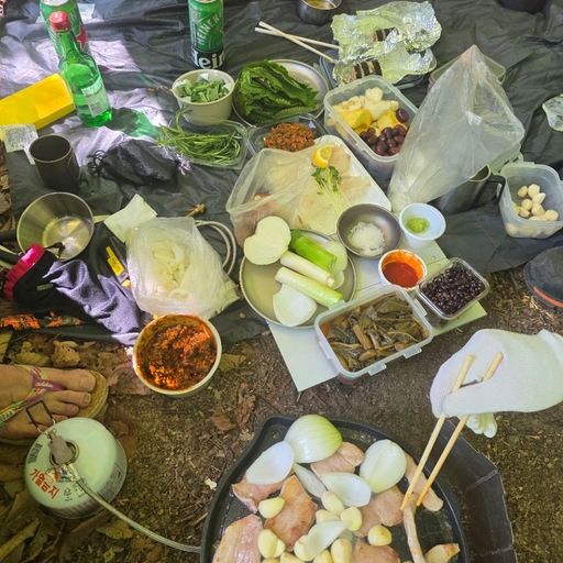 피드 이미지