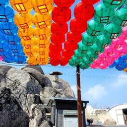 피드에 업로드 된 이미지