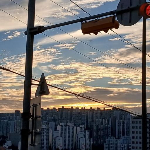 피드 이미지
