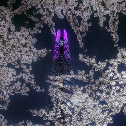 피드에 업로드 된 이미지