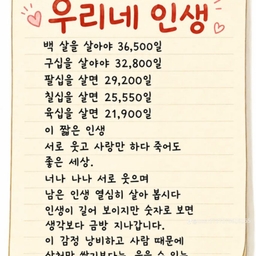 피드에 업로드 된 이미지