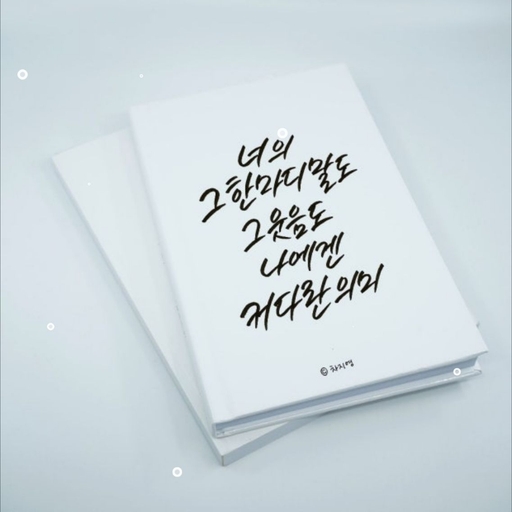 피드 이미지