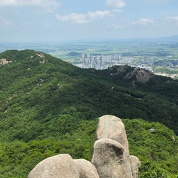 피드에 업로드 된 이미지