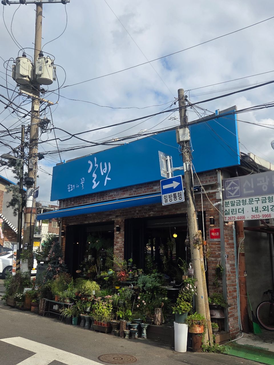 피드 이미지