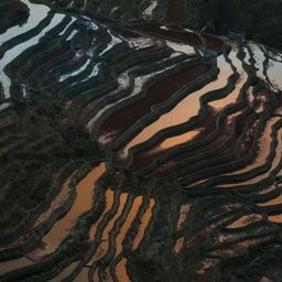 피드에 업로드 된 이미지