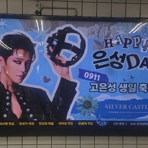 피드 이미지