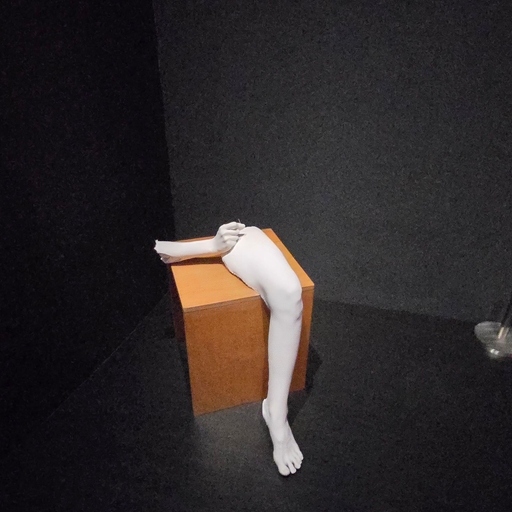 피드 이미지