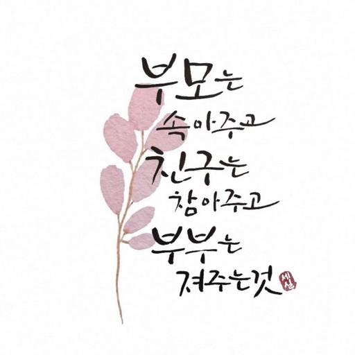 피드 이미지