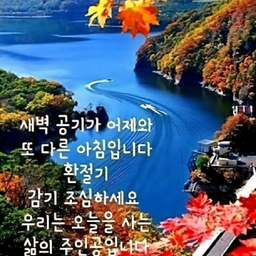 피드에 업로드 된 이미지