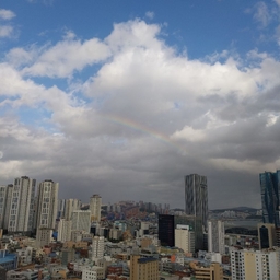 피드에 업로드 된 이미지