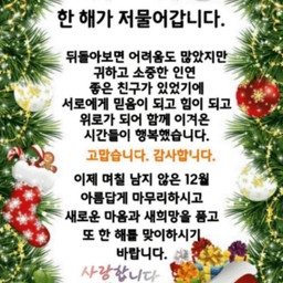 피드에 업로드 된 이미지