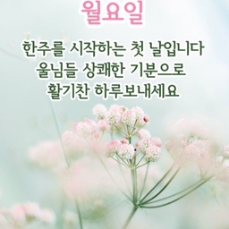 피드에 업로드 된 이미지