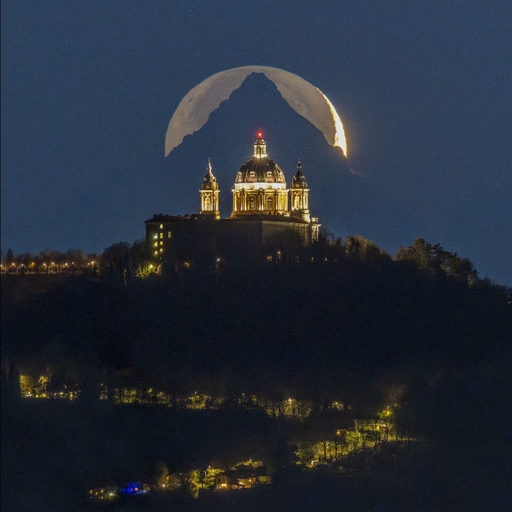 피드 이미지