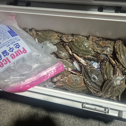 피드 이미지