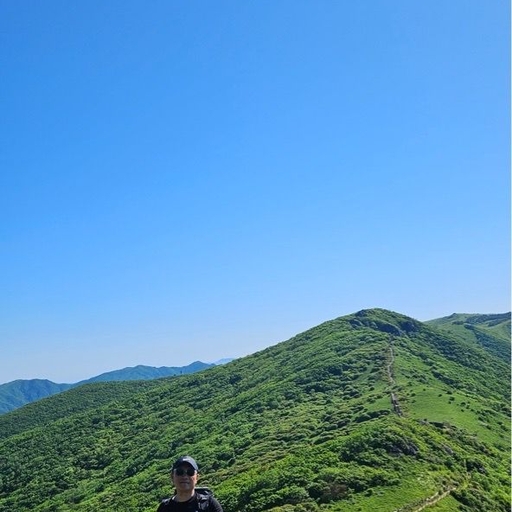 피드 이미지