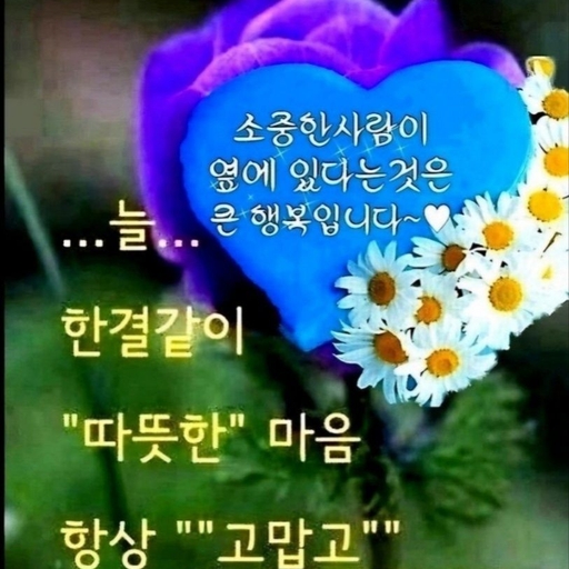 피드 이미지