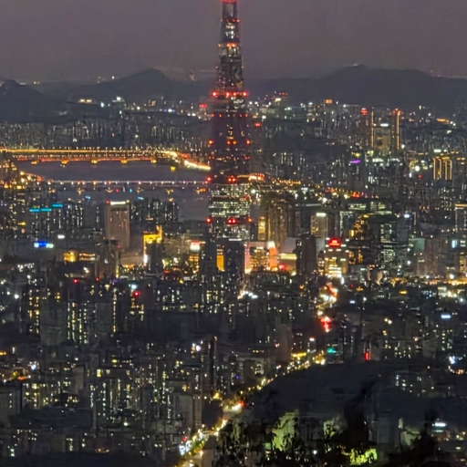 피드 이미지