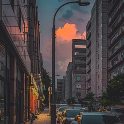 피드에 업로드 된 이미지