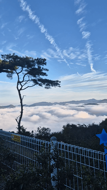 멤버 프로필