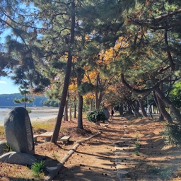 피드에 업로드 된 이미지