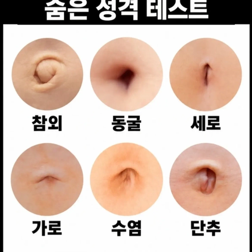 피드 이미지