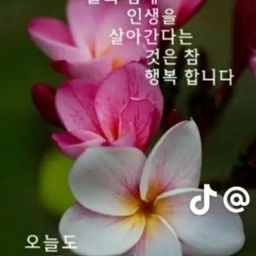피드에 업로드 된 이미지