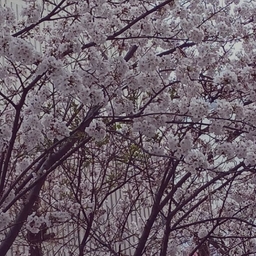 피드에 업로드 된 이미지